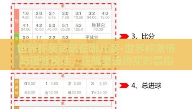 世界杯买彩票在哪儿买-世界杯激情与理性投注，正确渠道购买彩票指南