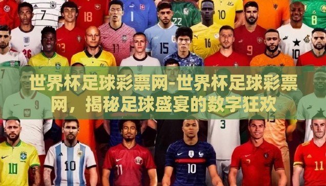 世界杯足球彩票网-世界杯足球彩票网，揭秘足球盛宴的数字狂欢
