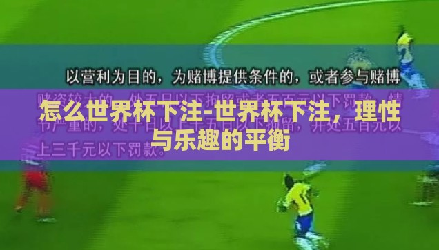 怎么世界杯下注-世界杯下注，理性与乐趣的平衡