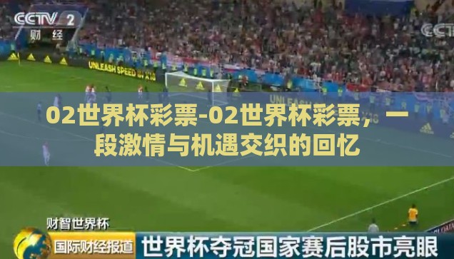 02世界杯彩票-02世界杯彩票，一段激情与机遇交织的回忆