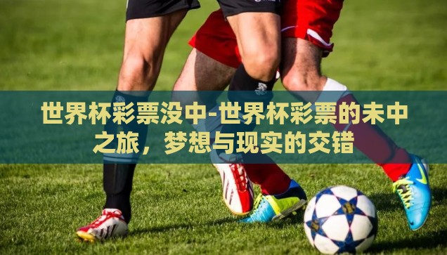 世界杯彩票没中-世界杯彩票的未中之旅，梦想与现实的交错