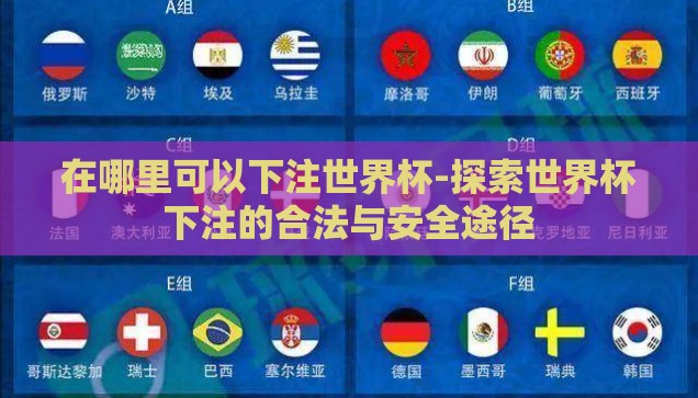 在哪里可以下注世界杯-探索世界杯下注的合法与安全途径