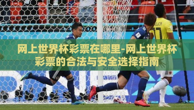 网上世界杯彩票在哪里-网上世界杯彩票的合法与安全选择指南