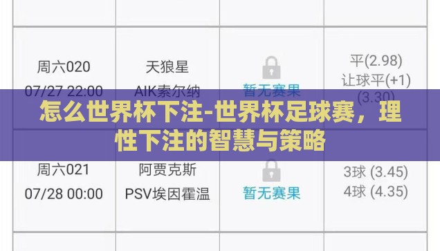 怎么世界杯下注-世界杯足球赛，理性下注的智慧与策略