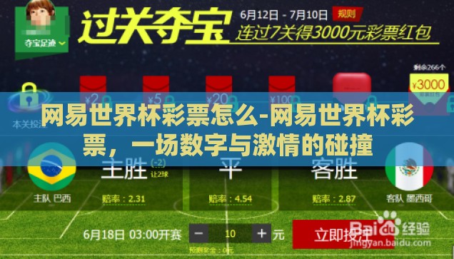 网易世界杯彩票怎么-网易世界杯彩票，一场数字与激情的碰撞
