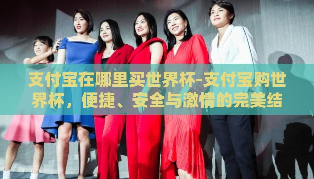 支付宝在哪里买世界杯-支付宝购世界杯，便捷、安全与激情的完美结合
