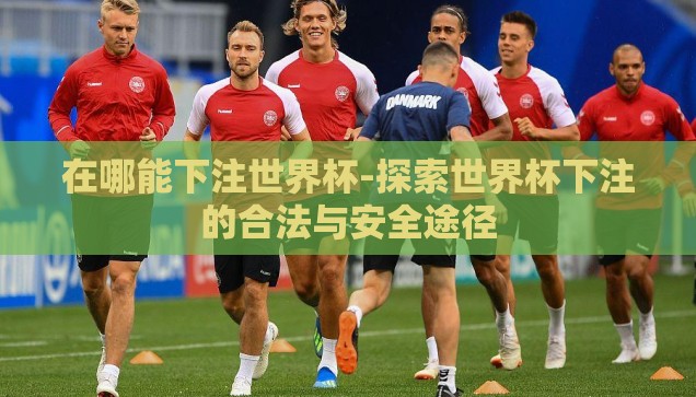 在哪能下注世界杯-探索世界杯下注的合法与安全途径