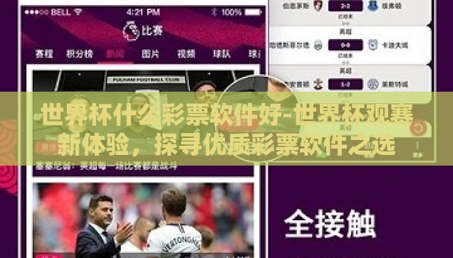 世界杯什么彩票软件好-世界杯观赛新体验，探寻优质彩票软件之选