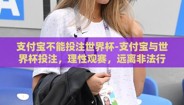 支付宝不能投注世界杯-支付宝与世界杯投注，理性观赛，远离非法行为