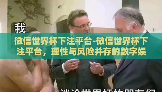 微信世界杯下注平台-微信世界杯下注平台，理性与风险并存的数字娱乐新选择