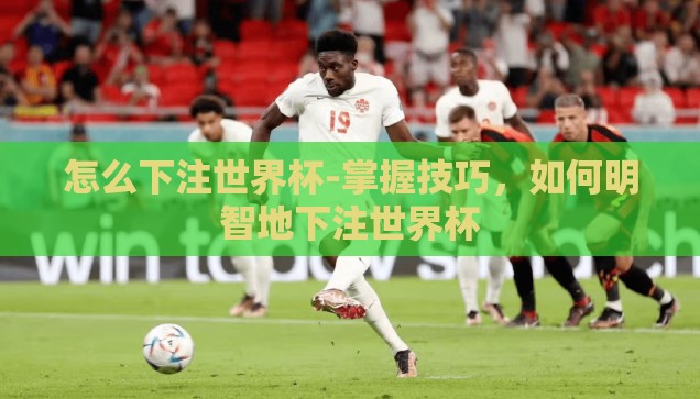 怎么下注世界杯-掌握技巧，如何明智地下注世界杯