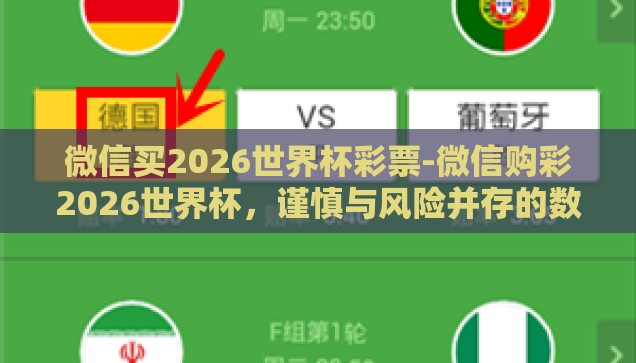 微信买2026世界杯彩票-微信购彩2026世界杯，谨慎与风险并存的数字彩票新趋势