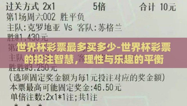 世界杯彩票最多买多少-世界杯彩票的投注智慧，理性与乐趣的平衡