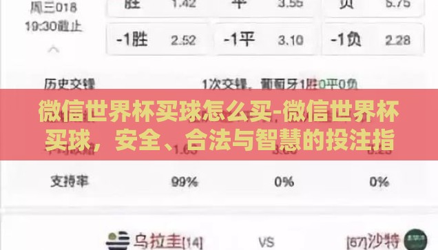 微信世界杯买球怎么买-微信世界杯买球，安全、合法与智慧的投注指南
