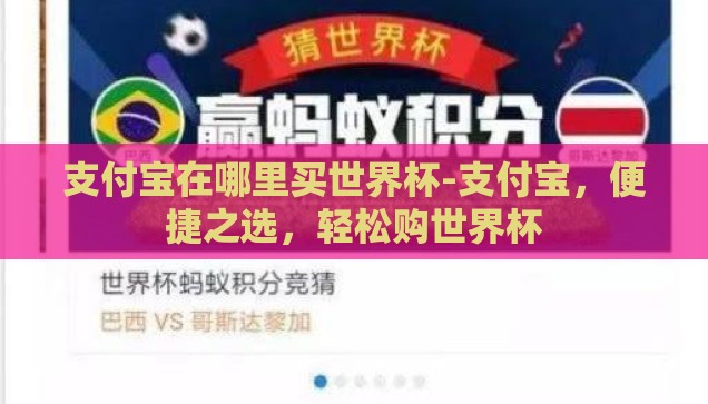 支付宝在哪里买世界杯-支付宝，便捷之选，轻松购世界杯