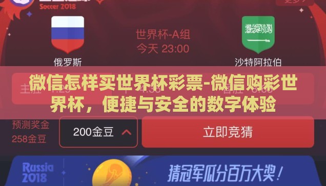 微信怎样买世界杯彩票-微信购彩世界杯，便捷与安全的数字体验