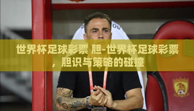 世界杯什么彩票软件好-世界杯观赛新体验，探寻优质彩票软件之选