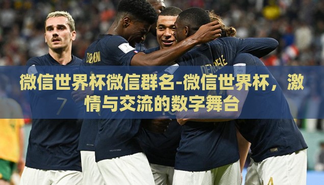 世界杯什么彩票软件好-世界杯观赛新体验，探寻优质彩票软件之选