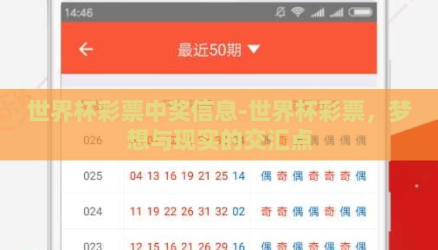 世界杯彩票中奖信息-世界杯彩票，梦想与现实的交汇点
