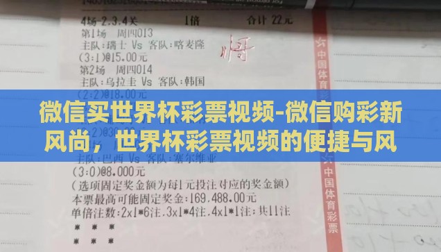 微信买世界杯彩票视频-微信购彩新风尚，世界杯彩票视频的便捷与风险
