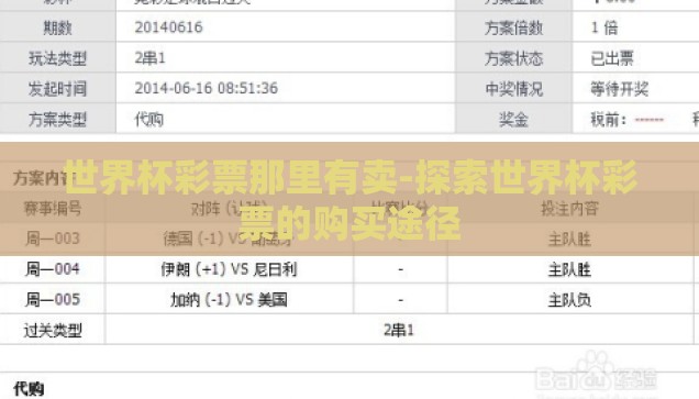 世界杯彩票那里有卖-探索世界杯彩票的购买途径