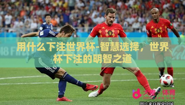 用什么下注世界杯-智慧选择，世界杯下注的明智之道