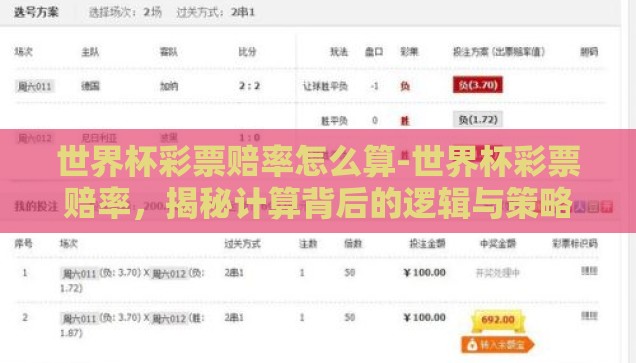 世界杯彩票赔率怎么算-世界杯彩票赔率，揭秘计算背后的逻辑与策略