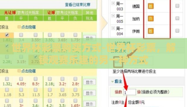 世界杯彩票购买方式-世界杯彩票，解锁观赛乐趣的另一种方式