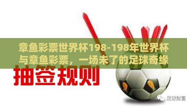 章鱼彩票世界杯198-198年世界杯与章鱼彩票，一场未了的足球奇缘