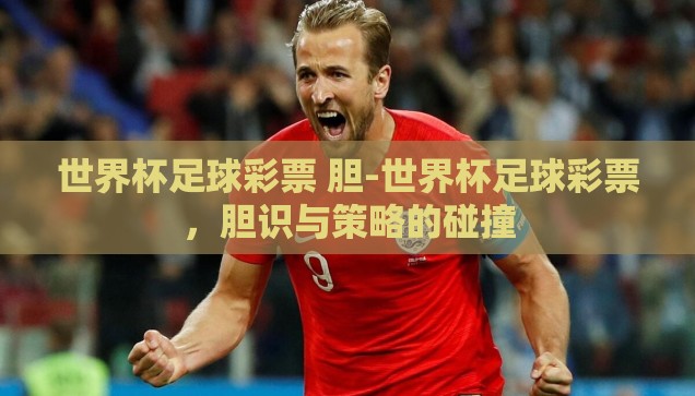 世界杯彩票最多买多少-世界杯彩票的投注智慧，理性与乐趣的平衡