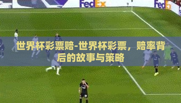 足球彩票世界杯开奖-足球彩票与世界杯开奖，激情与机遇的碰撞