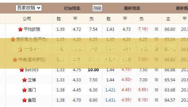 彩票投注世界杯-彩票投注世界杯，梦想与机遇的交织