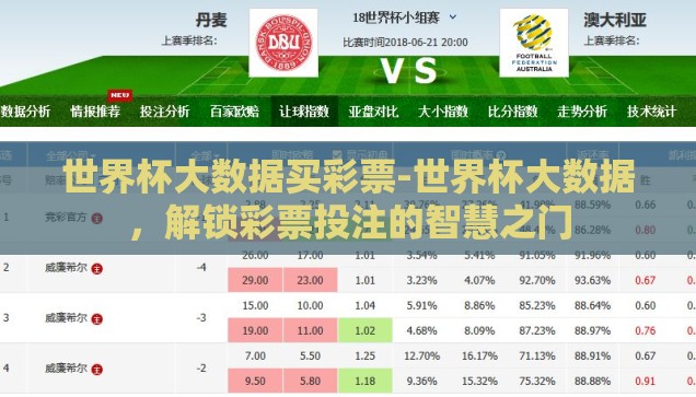 世界杯大数据买彩票-世界杯大数据，解锁彩票投注的智慧之门