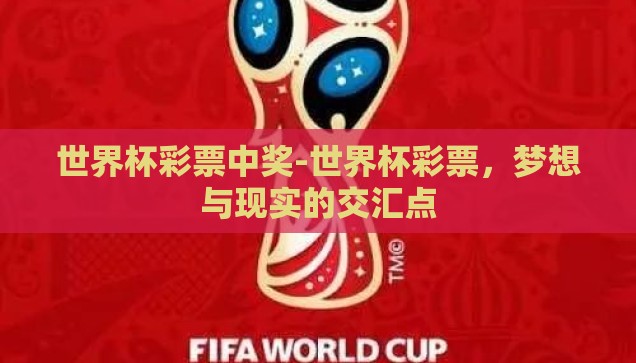 世界杯彩票中奖-世界杯彩票，梦想与现实的交汇点