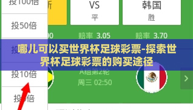 哪儿可以买世界杯足球彩票-探索世界杯足球彩票的购买途径
