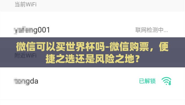 微信可以买世界杯吗-微信购票，便捷之选还是风险之地？