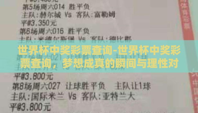 世界杯中奖彩票查询-世界杯中奖彩票查询，梦想成真的瞬间与理性对待的智慧