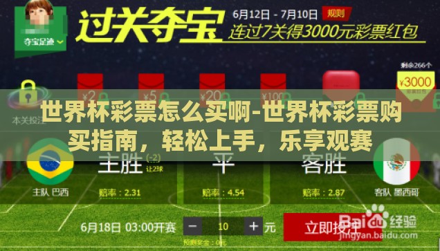 世界杯彩票怎么买啊-世界杯彩票购买指南，轻松上手，乐享观赛