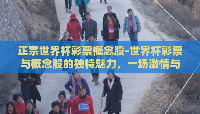 正宗世界杯彩票概念股-世界杯彩票与概念股的独特魅力，一场激情与投资的双重盛宴