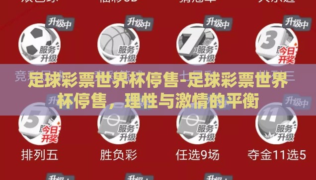 足球彩票世界杯停售-足球彩票世界杯停售，理性与激情的平衡
