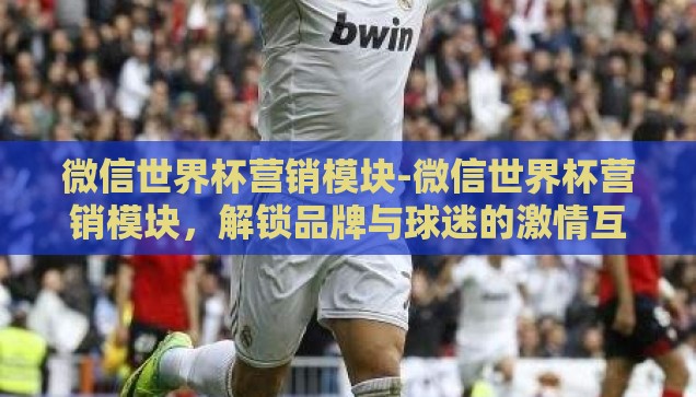 微信世界杯营销模块-微信世界杯营销模块，解锁品牌与球迷的激情互动新篇章