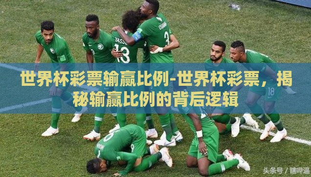 世界杯彩票输赢比例-世界杯彩票，揭秘输赢比例的背后逻辑