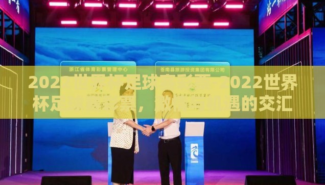 2022世界杯足球赛彩票-2022世界杯足球赛彩票，激情与机遇的交汇