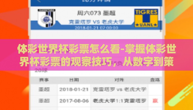 体彩世界杯彩票怎么看-掌握体彩世界杯彩票的观察技巧，从数字到策略的全面解析