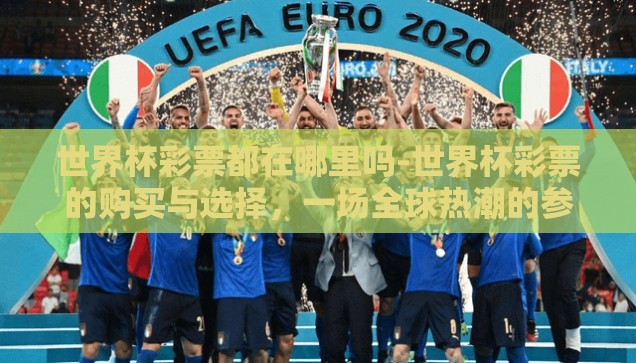 世界杯彩票都在哪里吗-世界杯彩票的购买与选择，一场全球热潮的参与指南