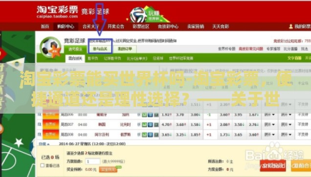 淘宝彩票能买世界杯吗-淘宝彩票，便捷通道还是理性选择？——关于世界杯购彩的探讨