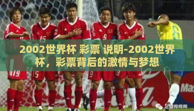 2002世界杯 彩票 说明-2002世界杯，彩票背后的激情与梦想