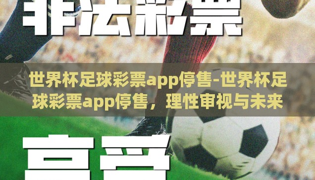 世界杯足球彩票app停售-世界杯足球彩票app停售，理性审视与未来展望
