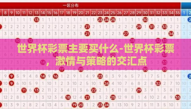 世界杯彩票怎么吗-世界杯彩票，揭秘背后的乐趣与策略