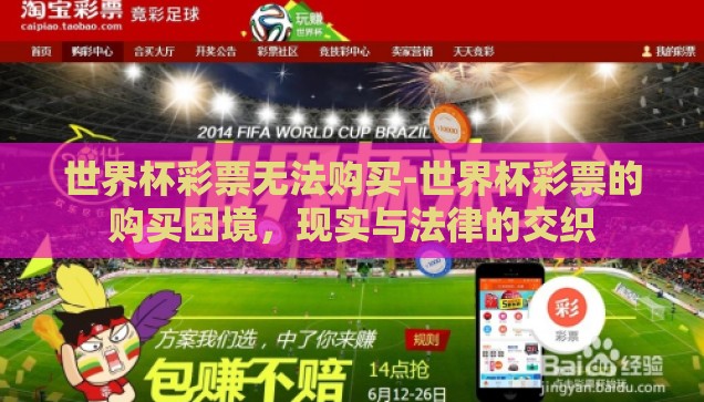 世界杯彩票无法购买-世界杯彩票的购买困境，现实与法律的交织